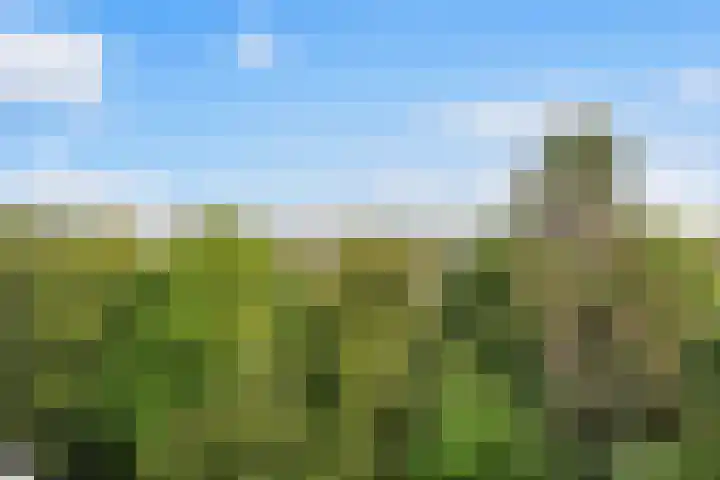 Haagweg 130 Leiden thumbnail 8