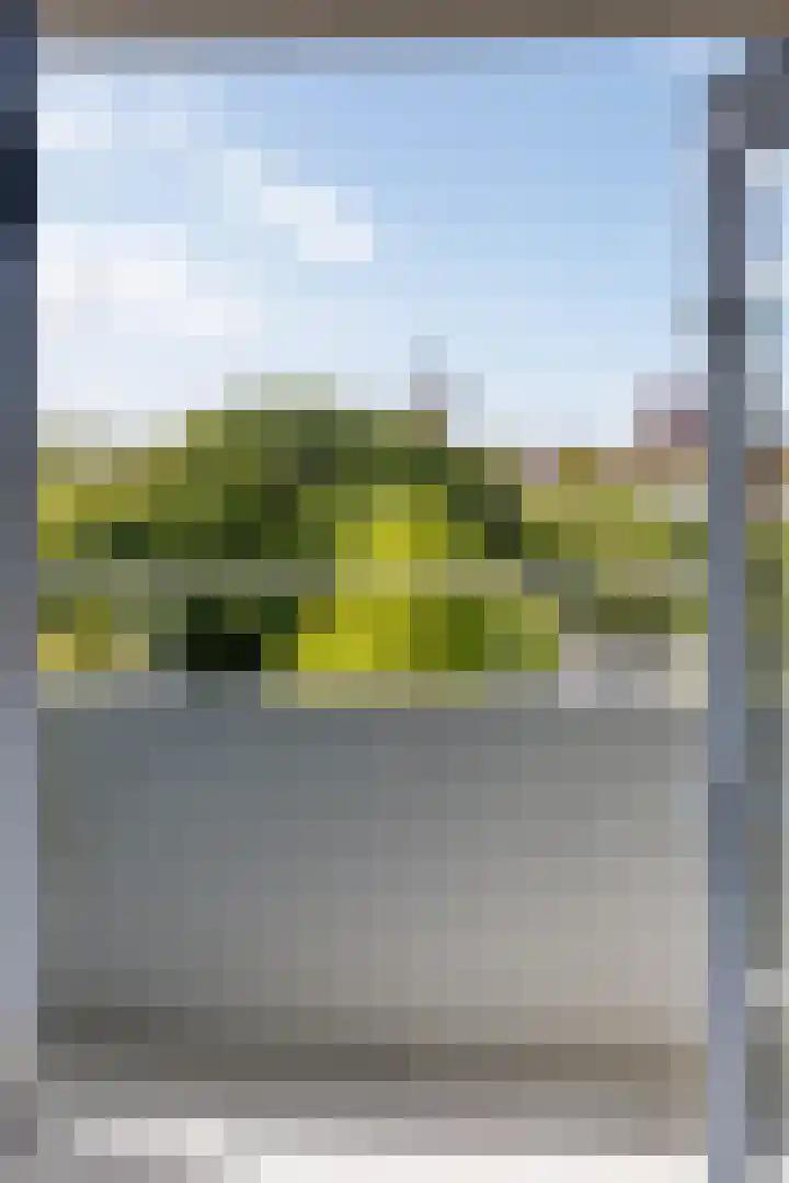 Haagweg 132 Leiden thumbnail 13