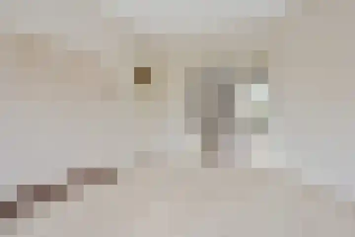Haagweg 139 Monster thumbnail 12