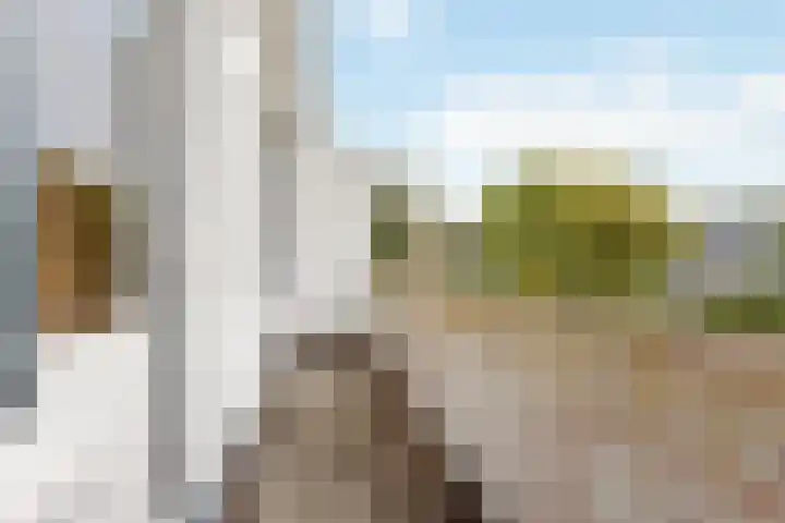 Haagweg 139 Monster thumbnail 24