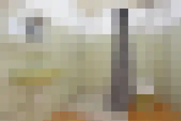 Haagweg 139 Monster thumbnail 32