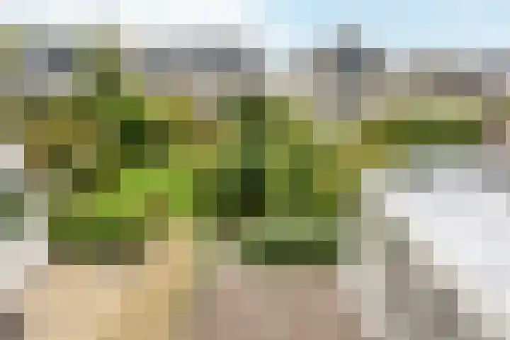 Haagweg 139 Monster thumbnail 4