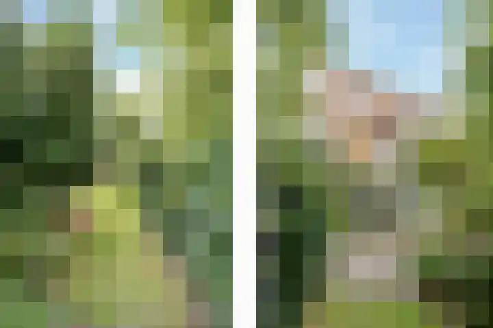 Haagweg 139 Monster thumbnail 40