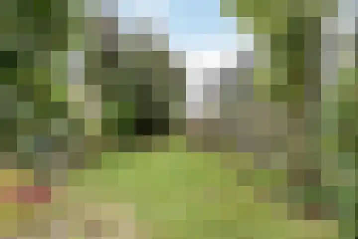 Haagweg 139 Monster thumbnail 41