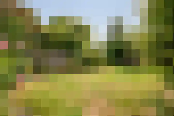Haagweg 141 Monster thumbnail 31