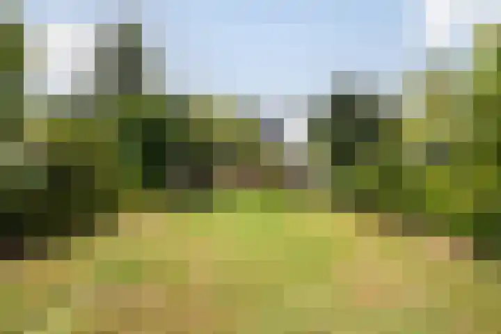 Haagweg 141 Monster thumbnail 32