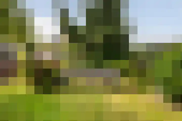 Haagweg 141 Monster thumbnail 33