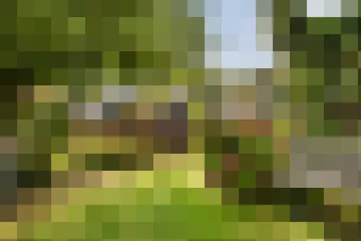 Haagweg 141 Monster thumbnail 34