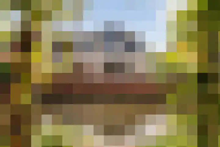 Haagweg 141 Monster thumbnail 35