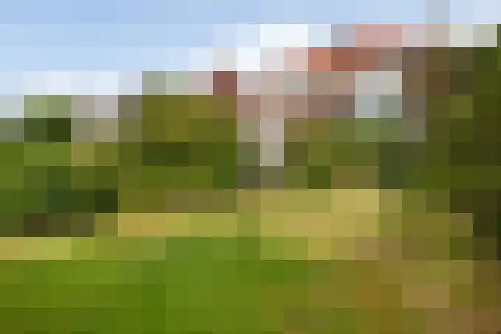 Haagweg 141 Monster thumbnail 36