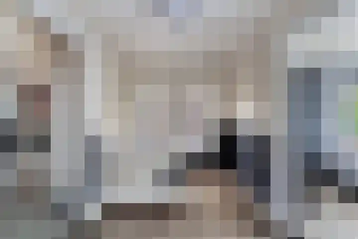 Haagweg 141 Monster thumbnail 56