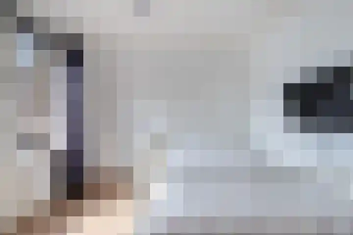 Haagweg 141 Monster thumbnail 68
