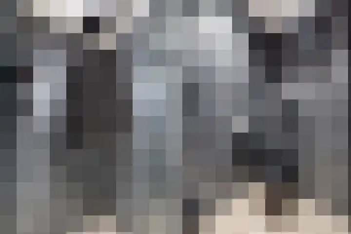 Haagweg 141 Monster thumbnail 74