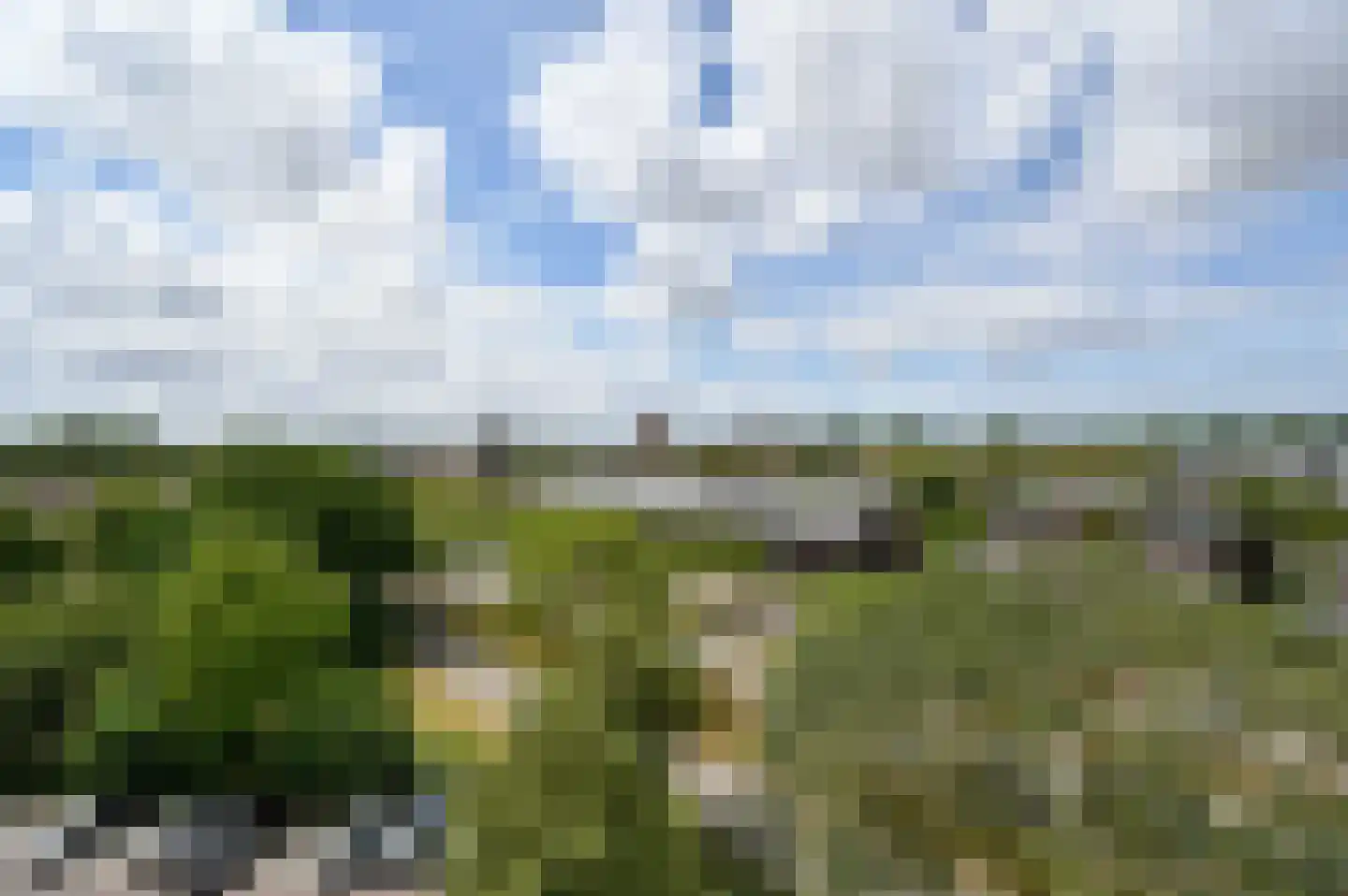 Haagweg 144 Leiden thumbnail 17