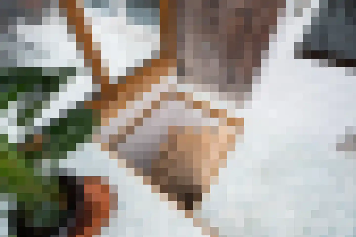 Haagweg 147 Monster thumbnail 23