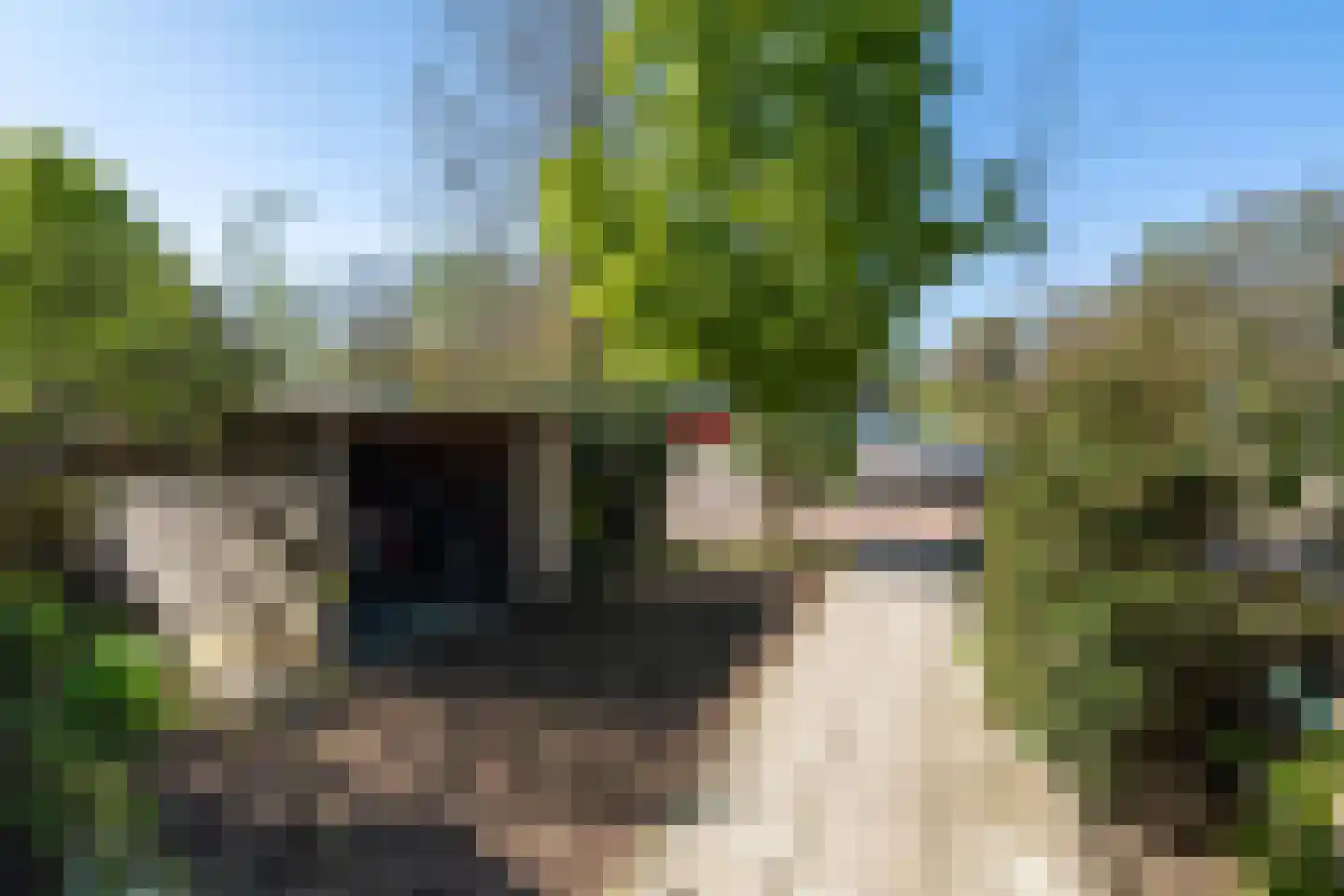 Haagweg 147 Monster thumbnail 65