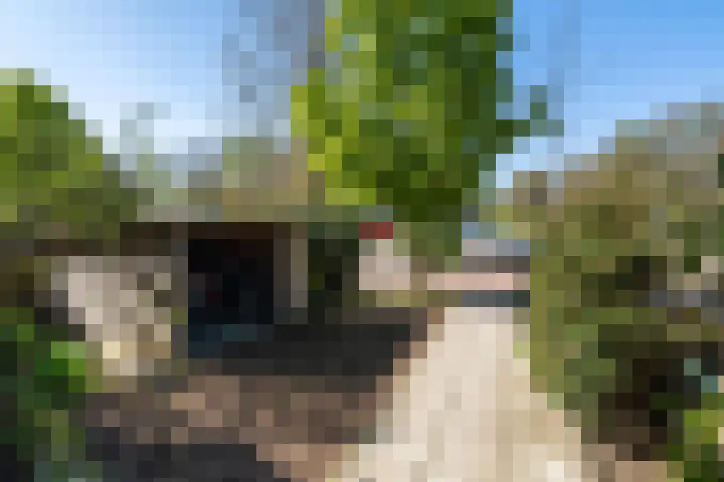 Haagweg 147 Monster thumbnail 65