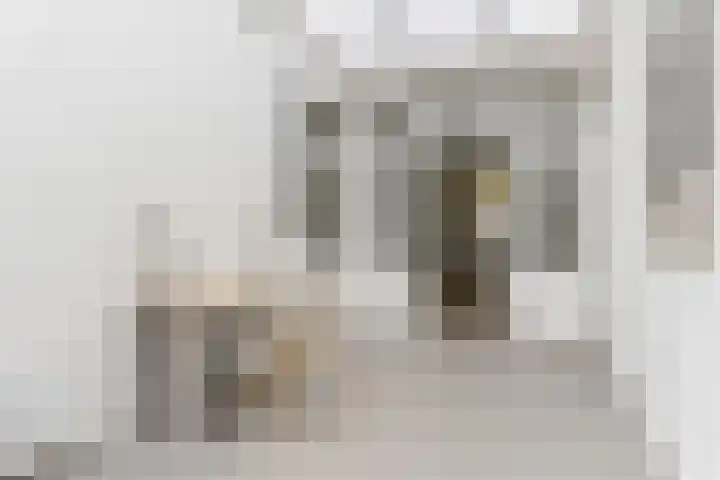 Haagweg 15 Breda thumbnail 15