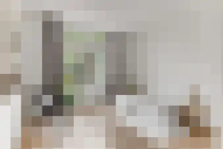 Haagweg 15 Breda thumbnail 20