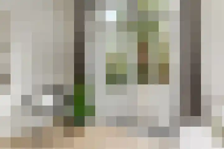 Haagweg 15 Breda thumbnail 21