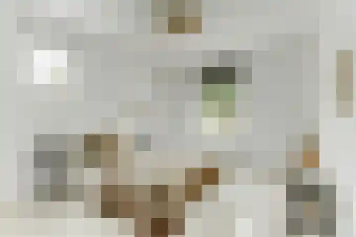 Haagweg 15 Breda thumbnail 23