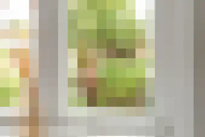 Haagweg 15 Breda thumbnail 25