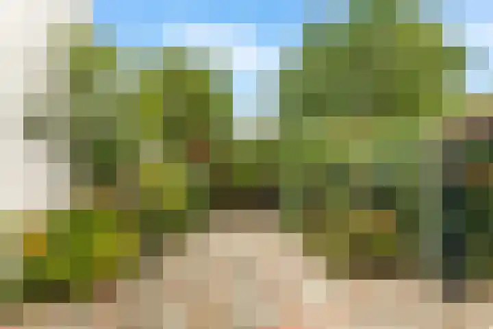 Haagweg 15 Breda thumbnail 29