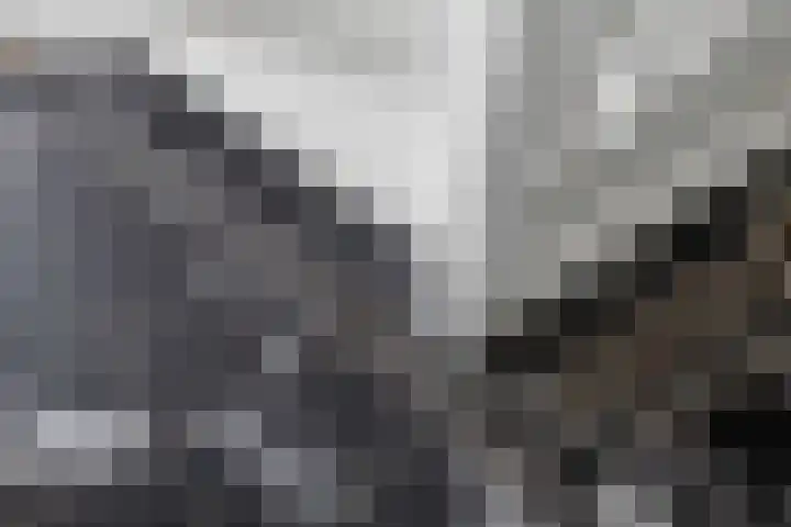 Haagweg 15 Breda thumbnail 6