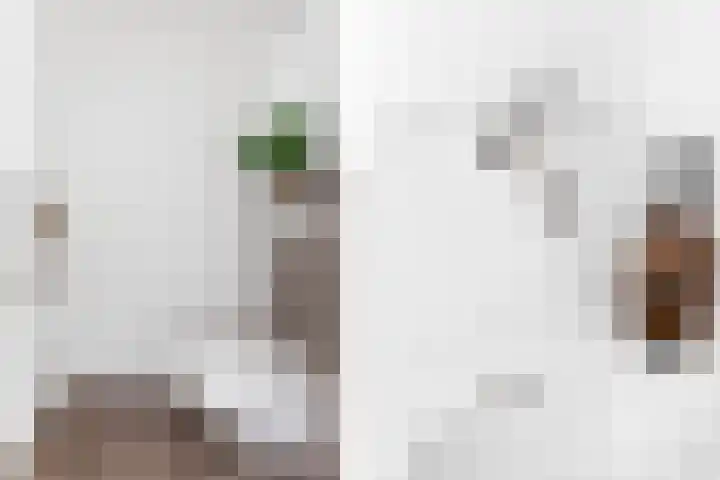 Haagweg 15 Breda thumbnail 7