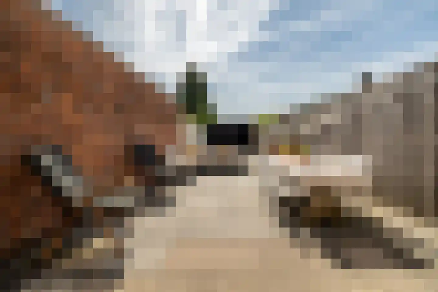Haagweg 153 Breda thumbnail 5