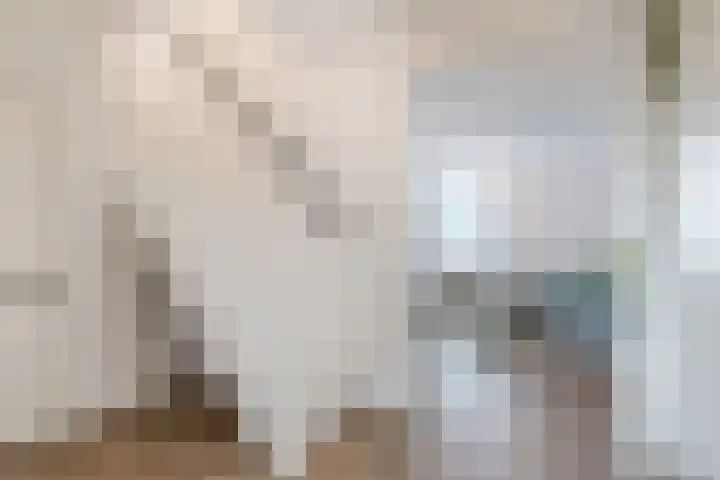Haagweg 160 Breda thumbnail 20