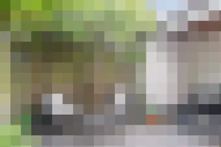 Haagweg 160 Breda thumbnail 5
