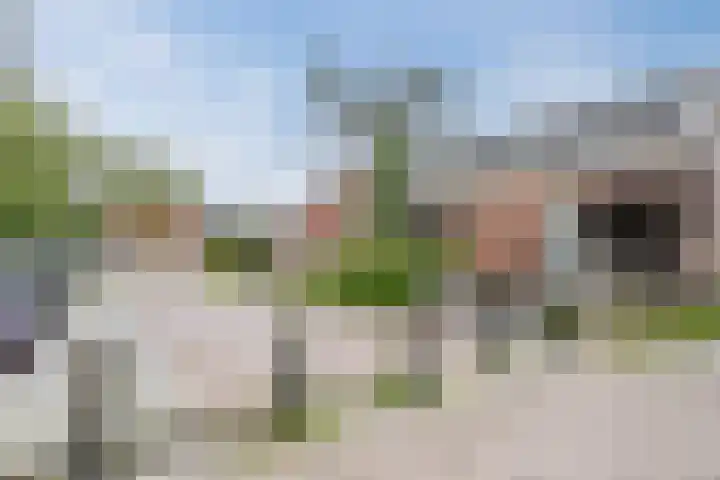 Haagweg 160 Breda thumbnail 7