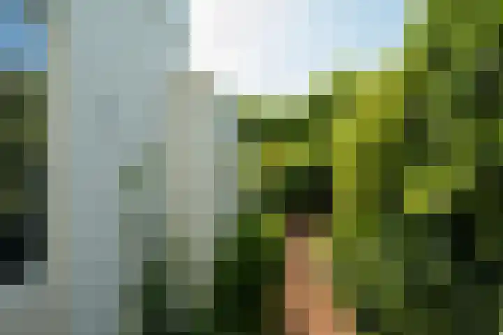 Haagweg 169 Breda thumbnail 21