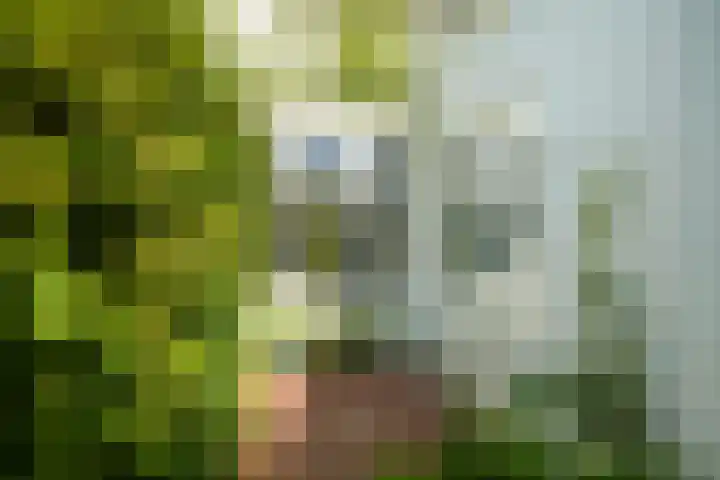 Haagweg 169 Breda thumbnail 22