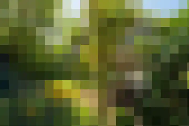 Haagweg 169 Breda thumbnail 23