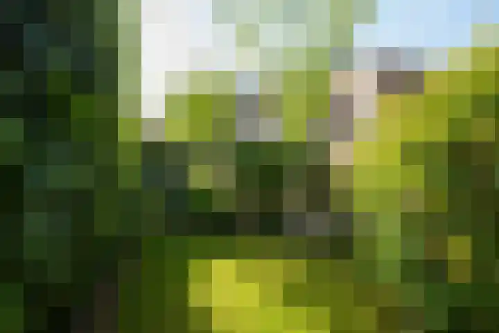 Haagweg 169 Breda thumbnail 28