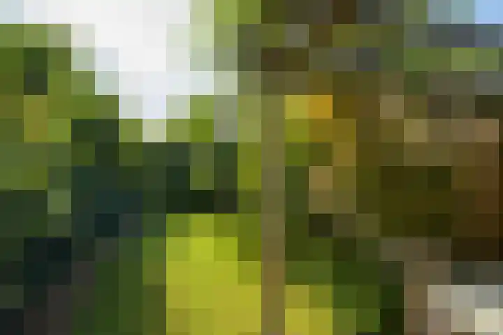 Haagweg 169 Breda thumbnail 31