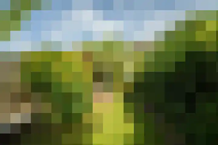 Haagweg 169 Breda thumbnail 32
