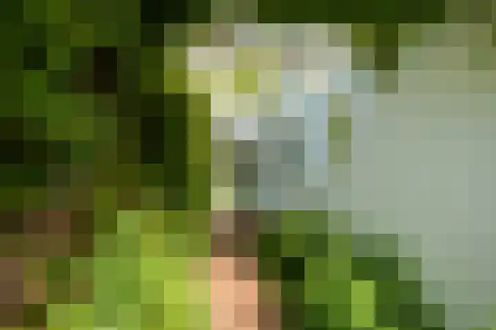 Haagweg 169 Breda thumbnail 33