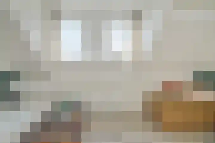 Haagweg 169 Breda thumbnail 35