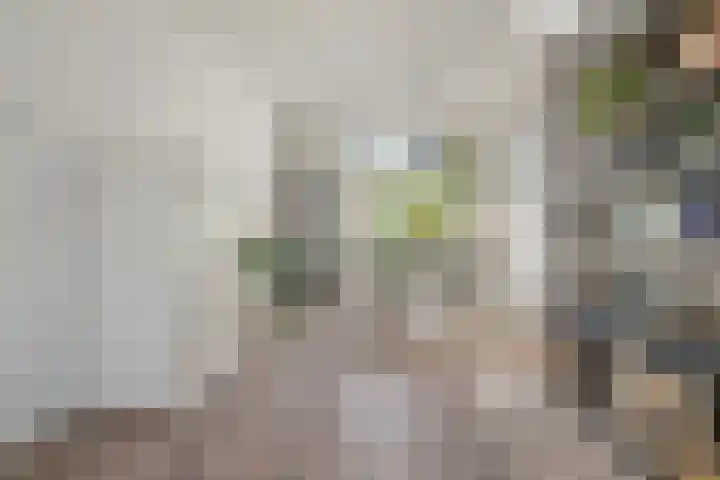Haagweg 169 Breda thumbnail 8