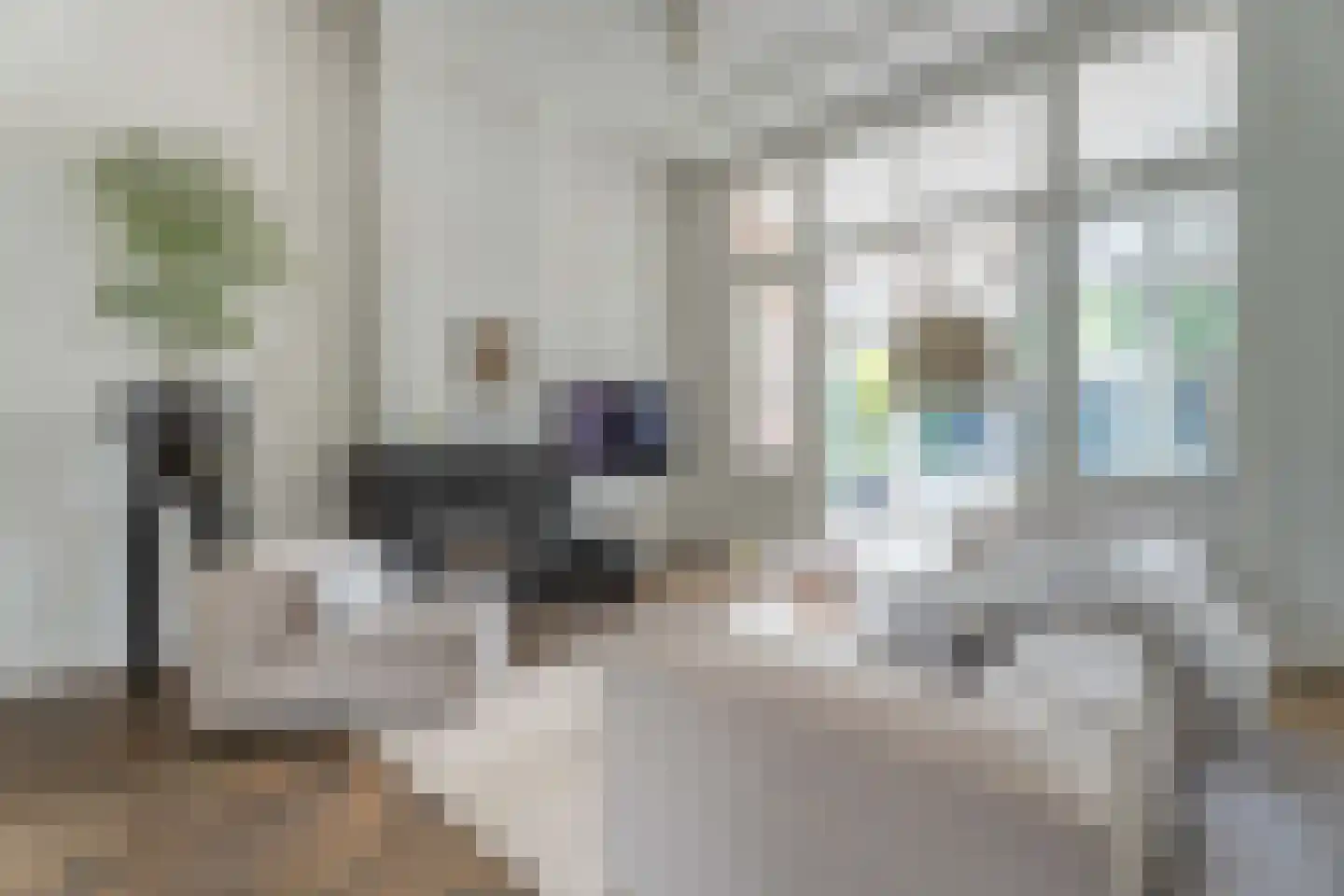 Haagweg 18 Leiden thumbnail 4