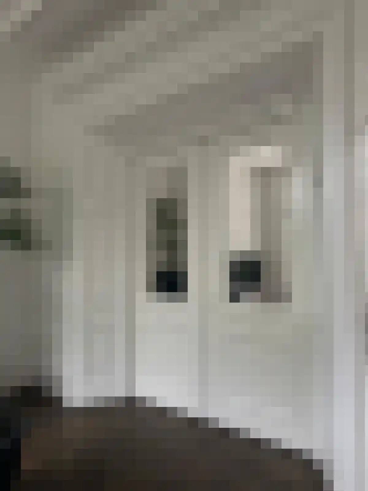 Haagweg 18 Leiden thumbnail 7