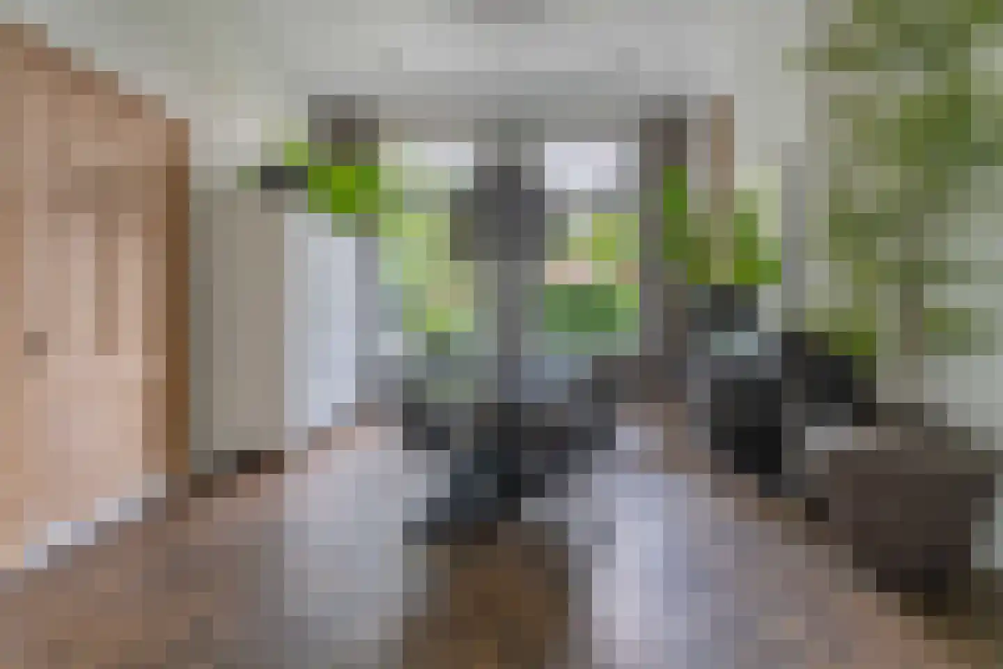 Haagweg 18 Leiden thumbnail 8