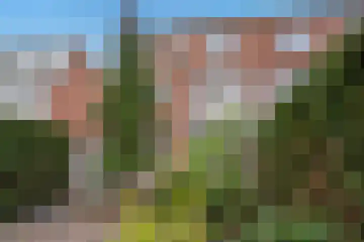 Haagweg 183 Rijswijk thumbnail 13