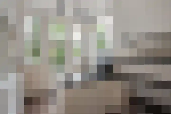 Haagweg 183 Rijswijk thumbnail 15