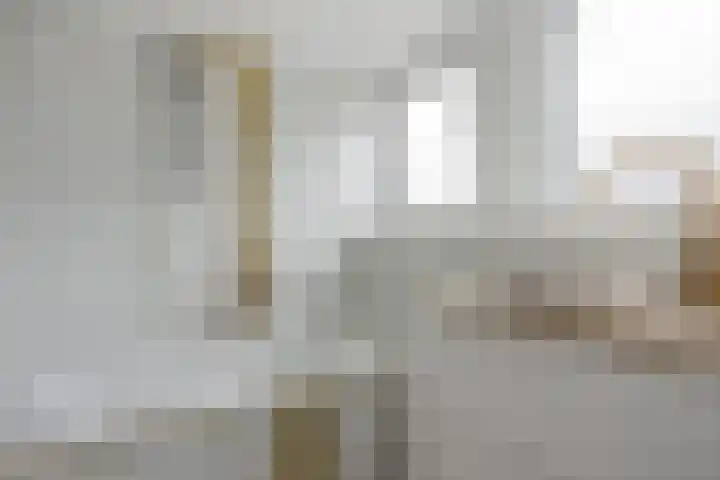Haagweg 183 Rijswijk thumbnail 33