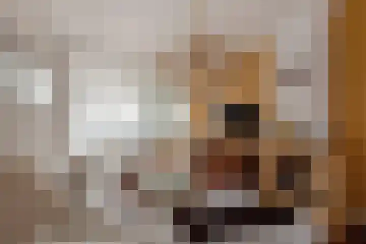 Haagweg 183 Rijswijk thumbnail 6