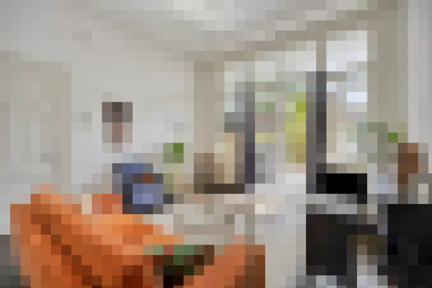 Haagweg 20 Leiden thumbnail 15